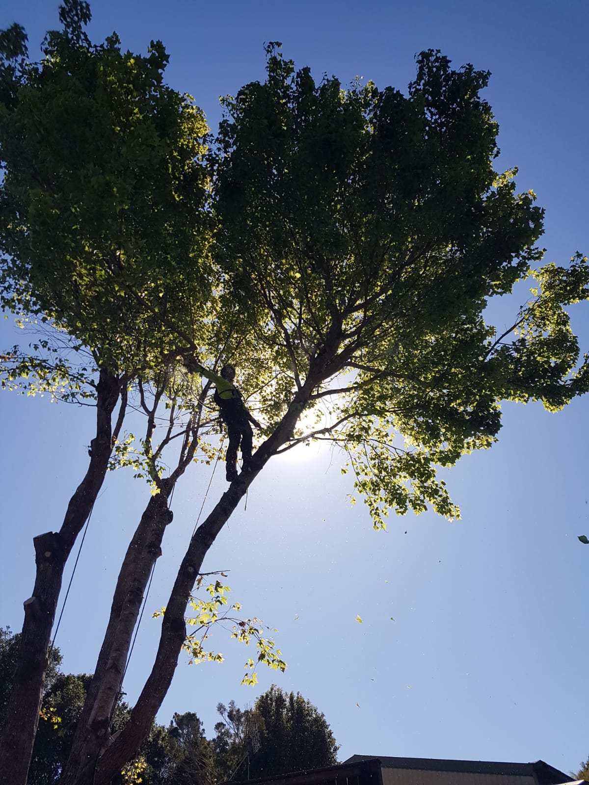 1d76e70b f214 4482 b6ec 9138723b71ed