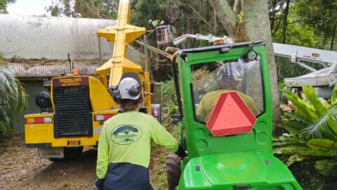 property managment our expert tree surgeons