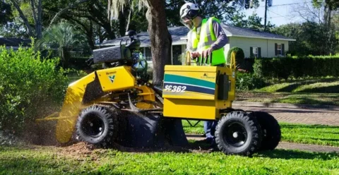 tree stump grinding e1715228159687.jpg